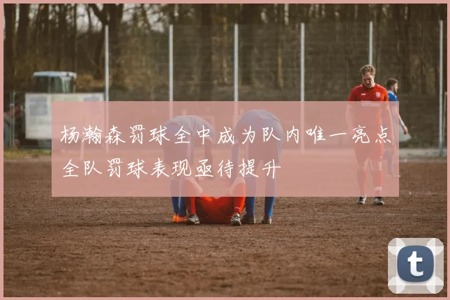 杨瀚森罚球全中成为队内唯一亮点全队罚球表现亟待提升