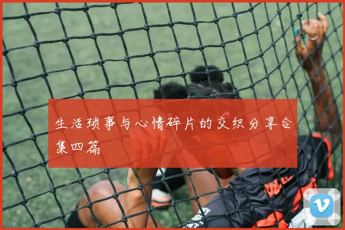 生活琐事与心情碎片的交织分享合集四篇