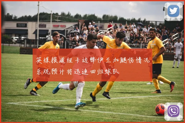 英媒报道纽卡边锋伊兰加腿伤情况乐观预计将迅速回归球队