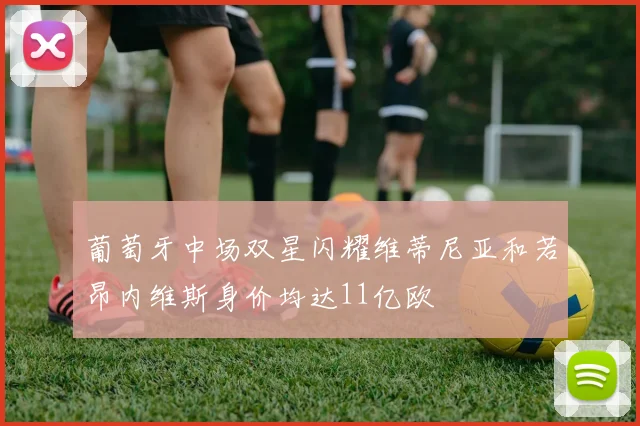 葡萄牙中场双星闪耀维蒂尼亚和若昂内维斯身价均达11亿欧