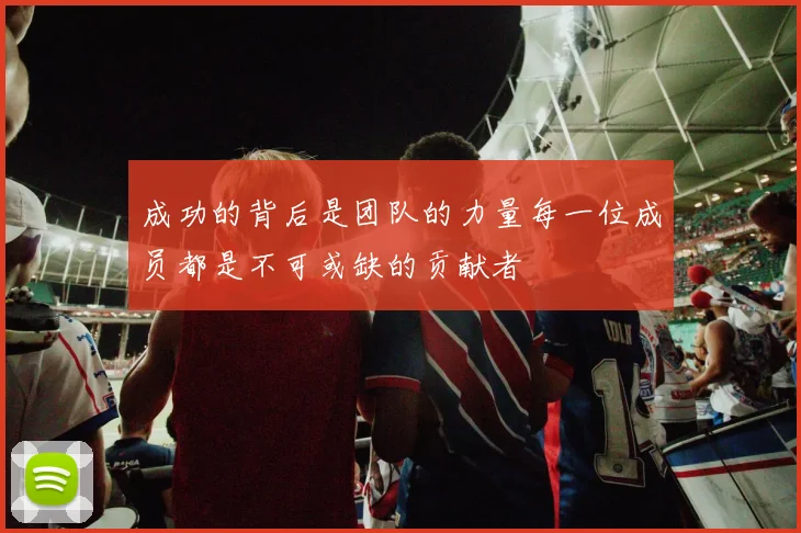 成功的背后是团队的力量每一位成员都是不可或缺的贡献者