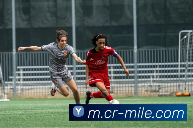 米乐足球APP 高清赛事图